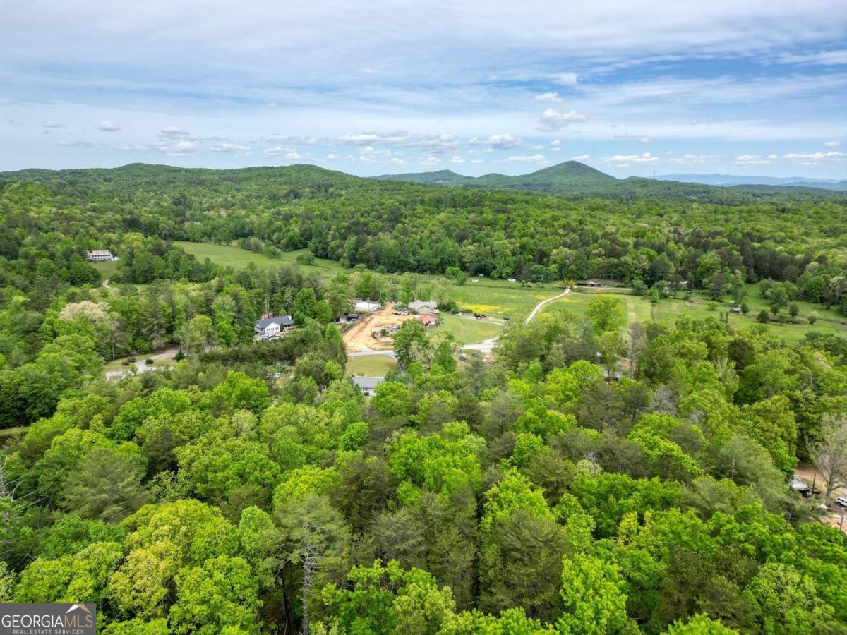 1085 W Jones Creek Road Blairsville GA 30512