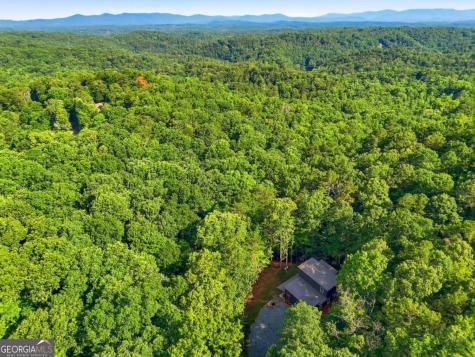202 Jonquil Lane Ellijay GA 30540