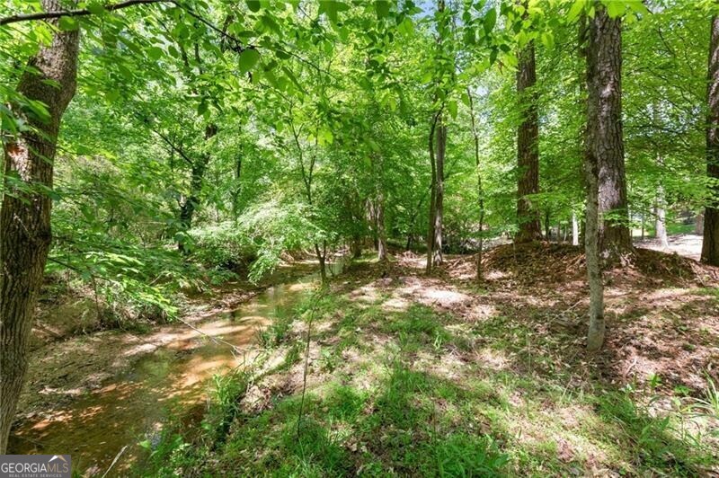 8580 High Hampton Chase Alpharetta GA 30022