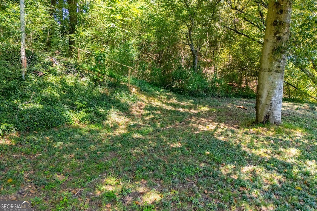 746 Dot Road Bowdon GA 30108
