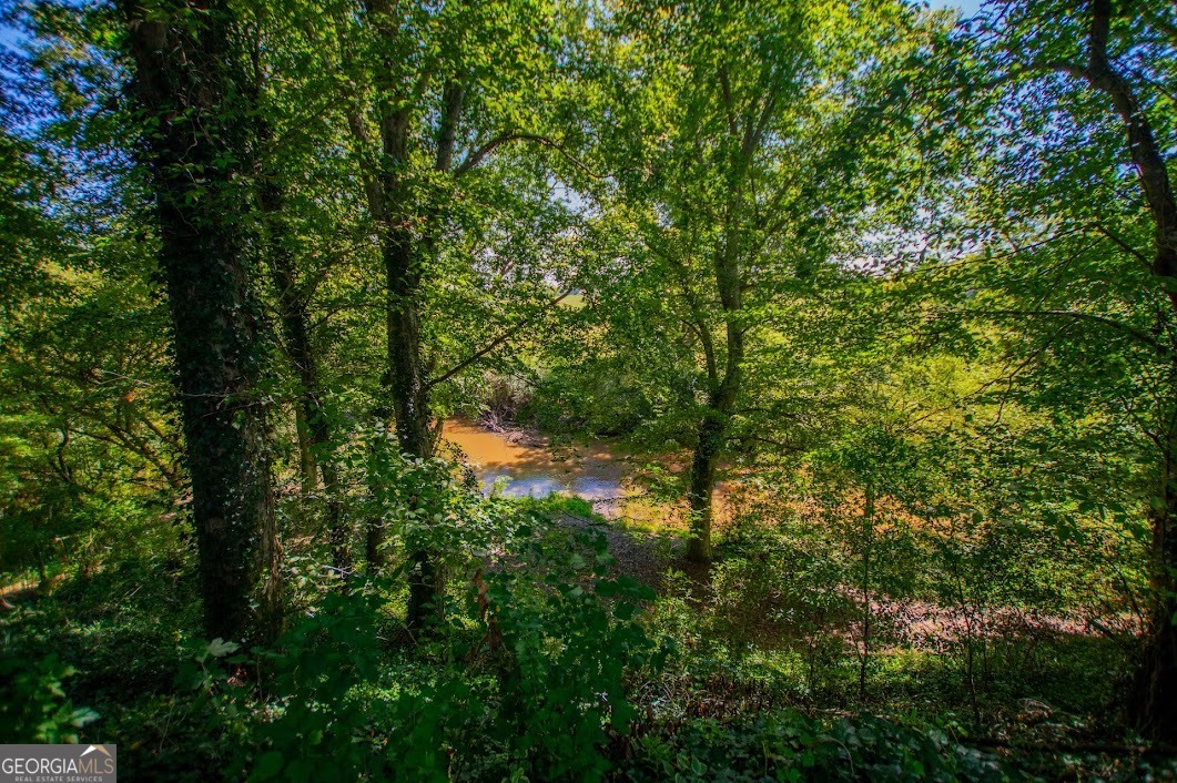 746 Dot Road Bowdon GA 30108