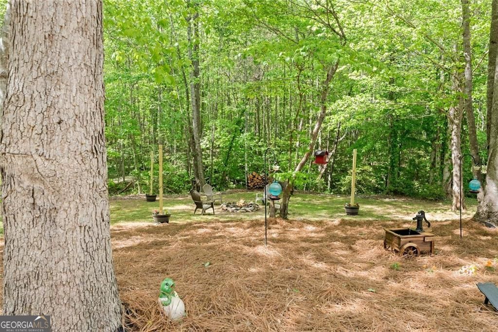 234 Glen Cedar Lane Dawsonville GA 30534