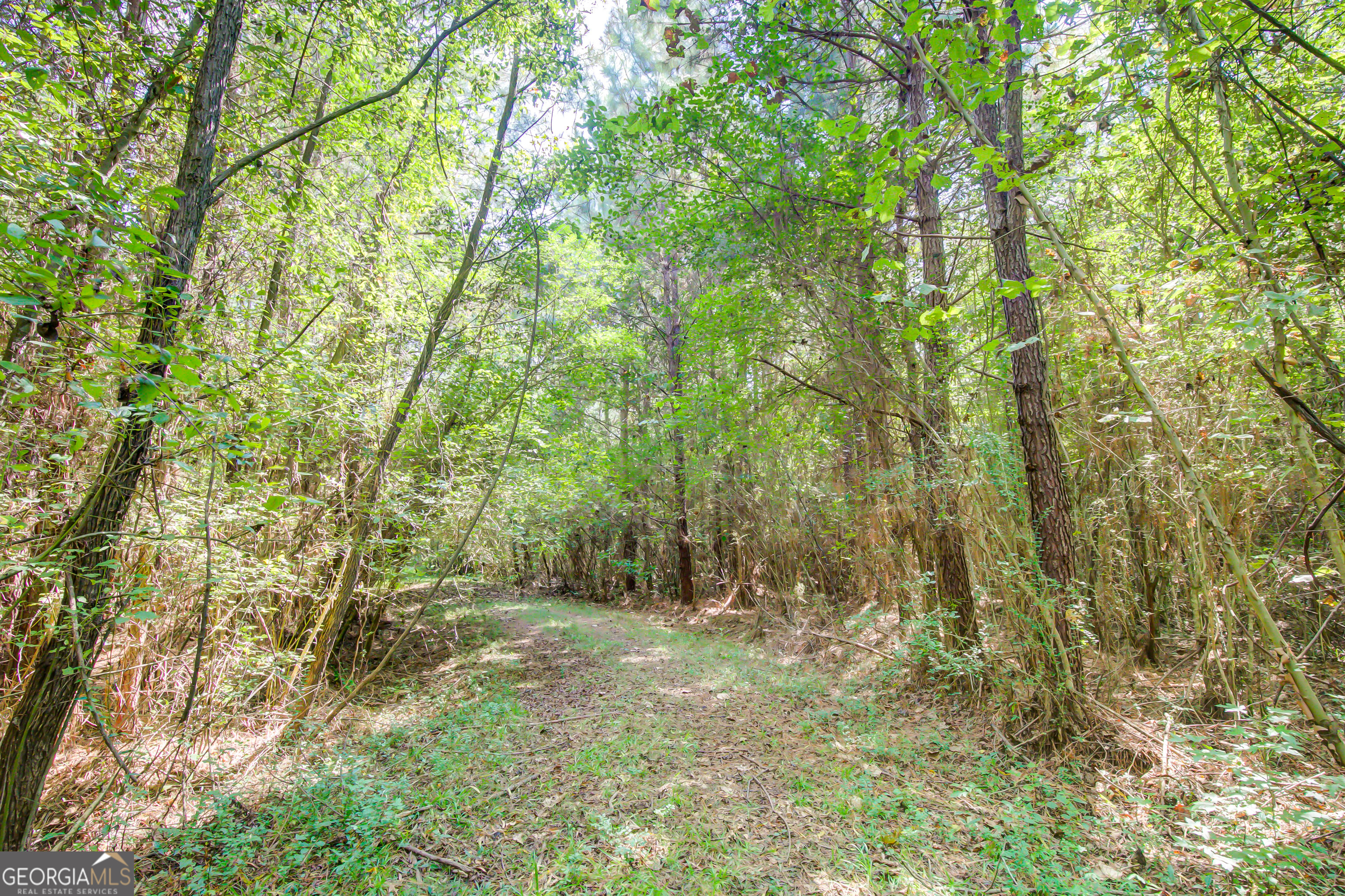 3591 Ga 54 Hogansville GA 30230