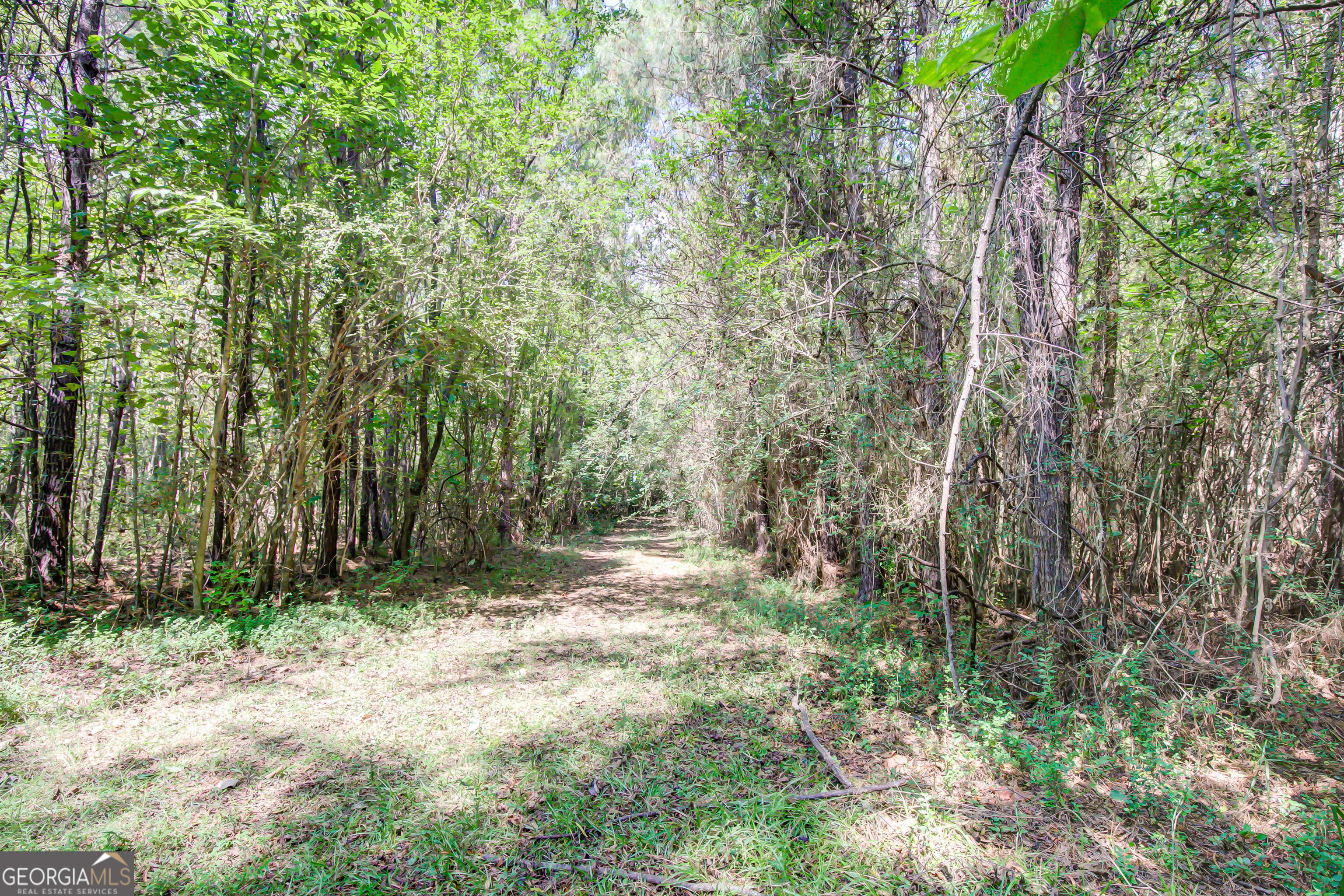 3591 Ga 54 Hogansville GA 30230