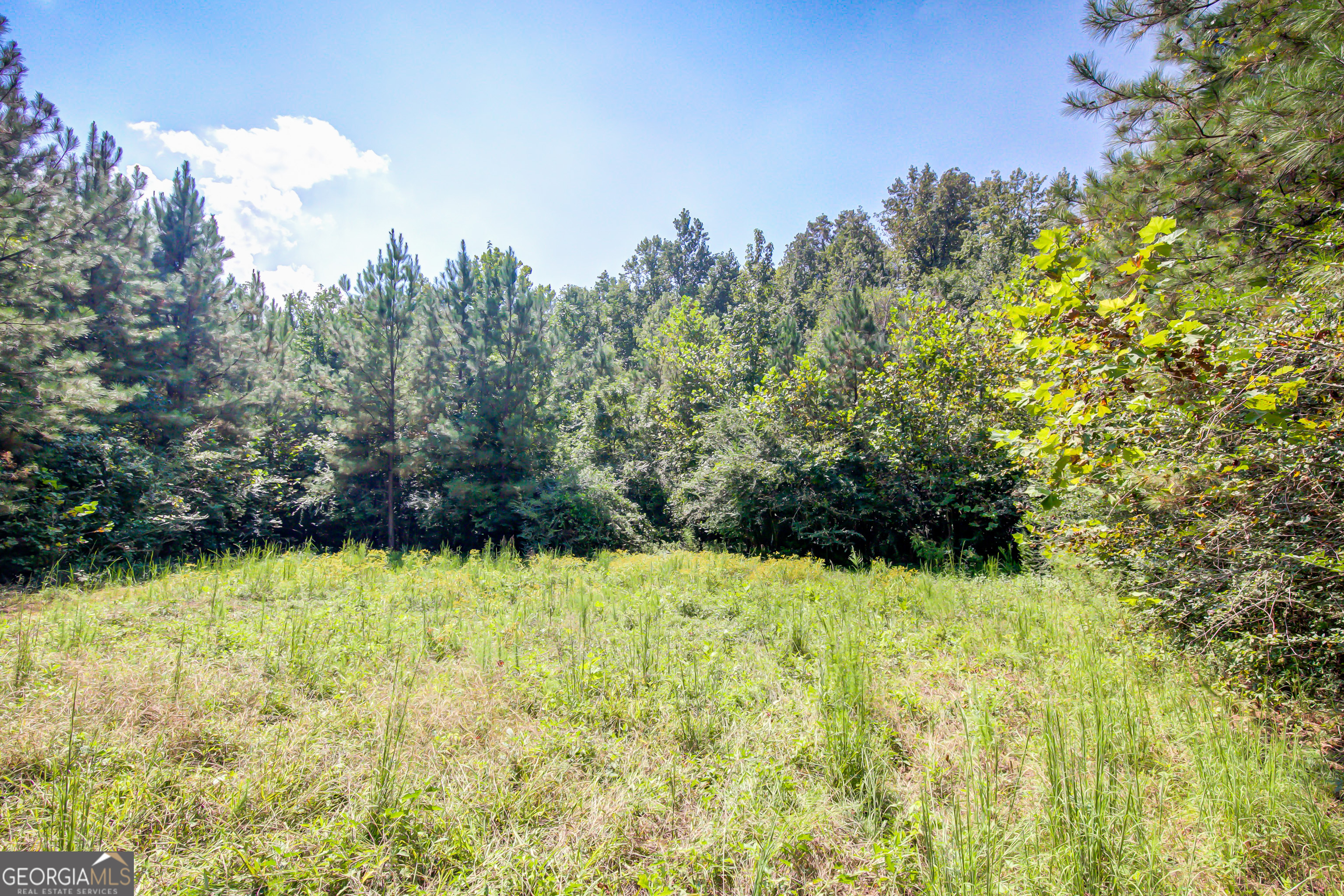 3591 Ga 54 Hogansville GA 30230