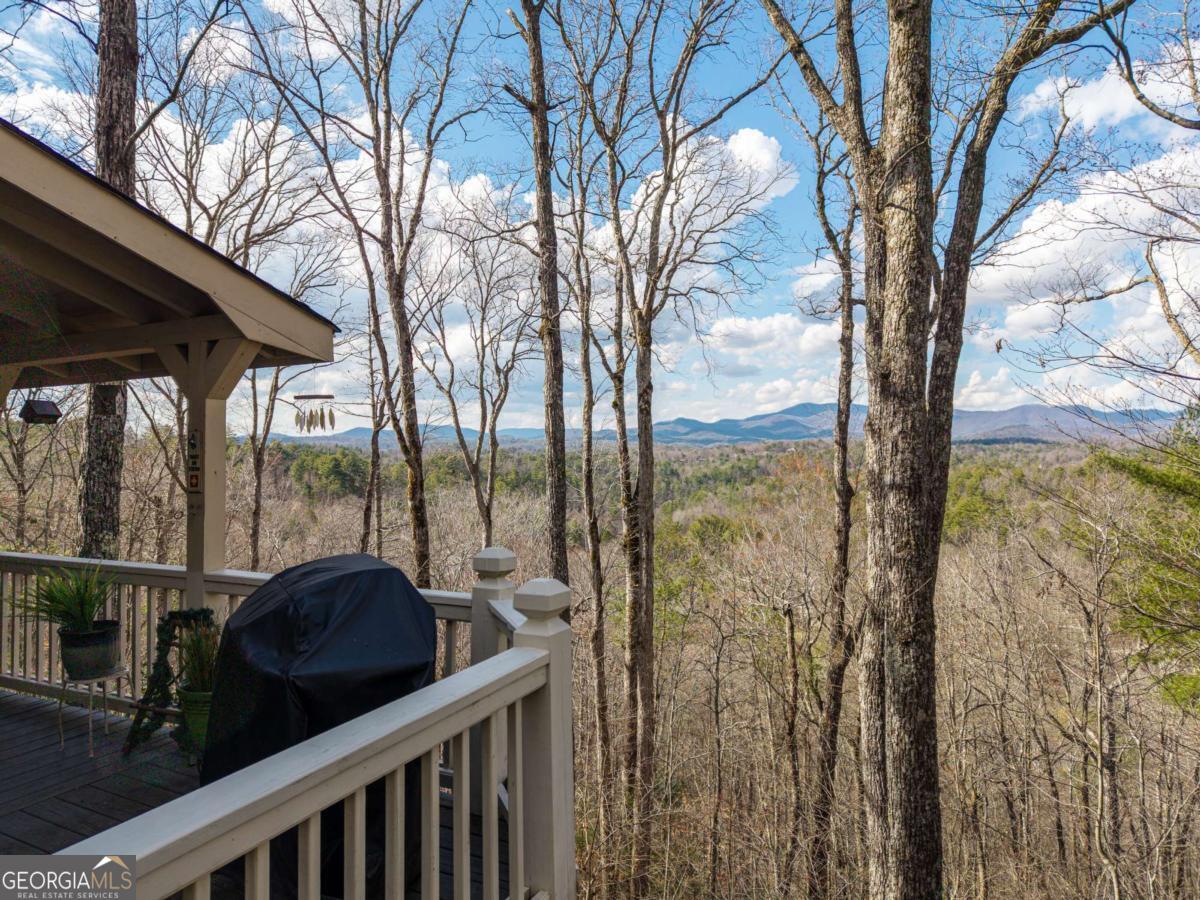 465 Briar Creek Drive Ellijay GA 30540