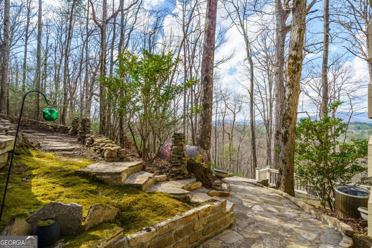 465 Briar Creek Drive Ellijay GA 30540