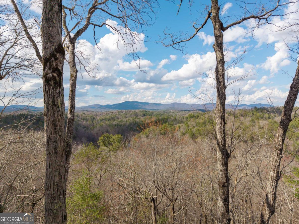 465 Briar Creek Drive Ellijay GA 30540