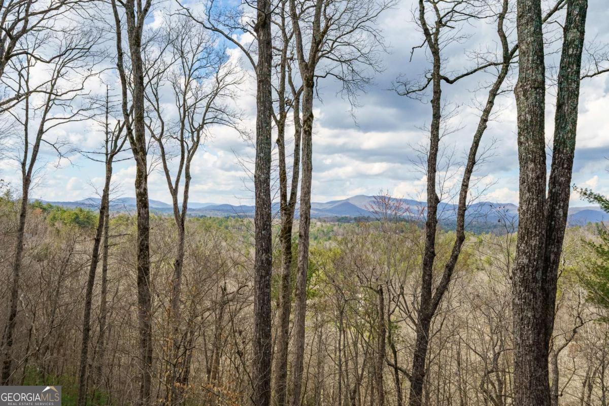 465 Briar Creek Drive Ellijay GA 30540