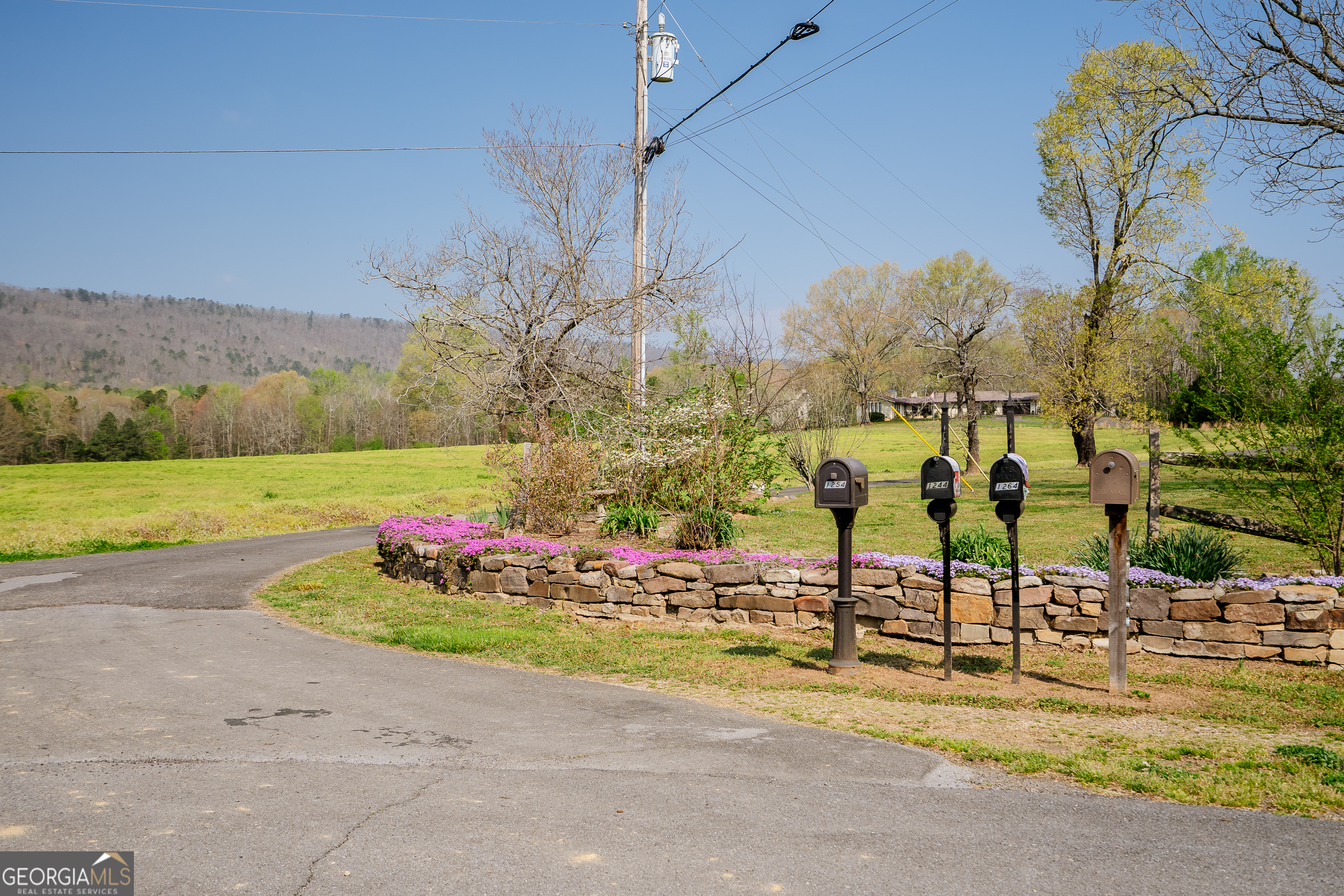 1254 Mountain Loop Road NW Sugar Valley GA 30746