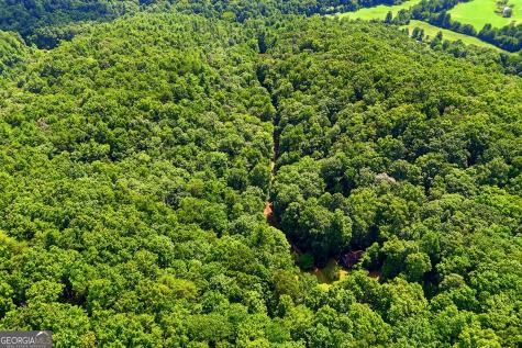 467 Gilliam Road Mineral Bluff GA 30559