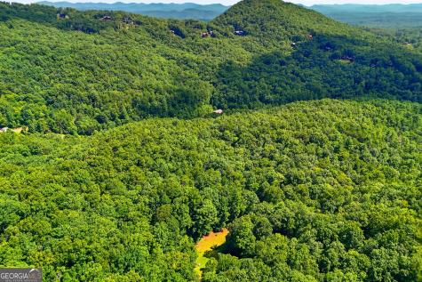 467 Gilliam Road Mineral Bluff GA 30559
