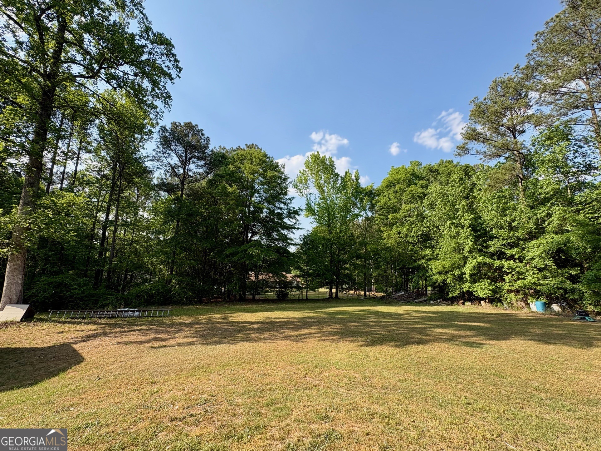1410 Tall Pines Drive Monroe GA 30655
