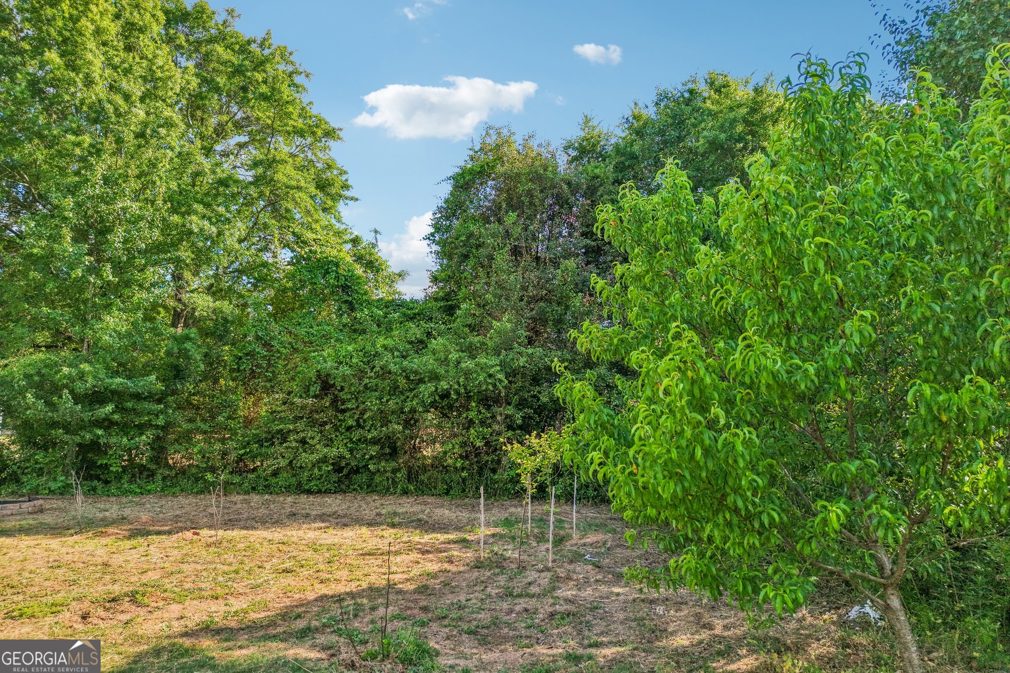 1354 Horseshoe Bend Lane Bogart GA 30622