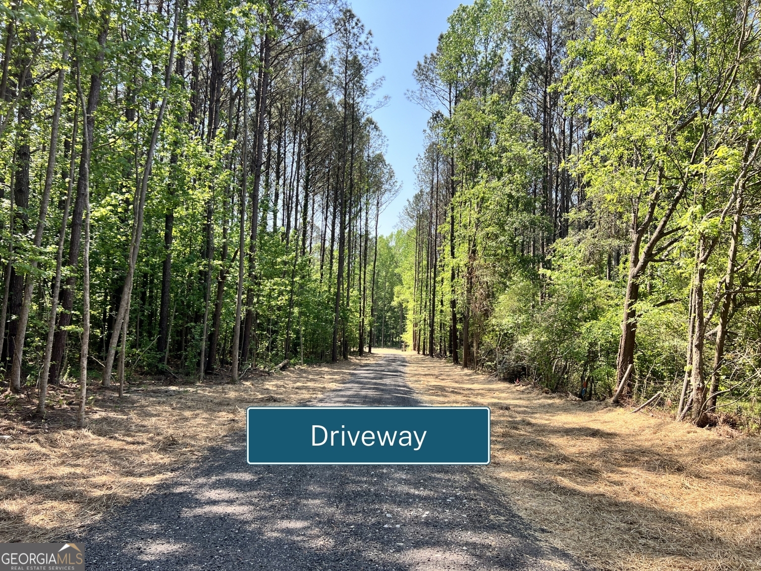 3341 E Highway 16 Sharpsburg GA 30277