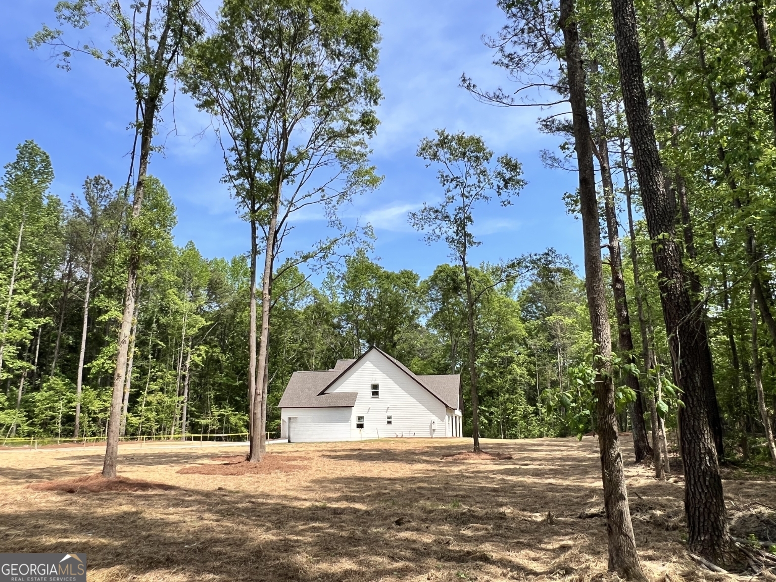 3341 E Highway 16 Sharpsburg GA 30277