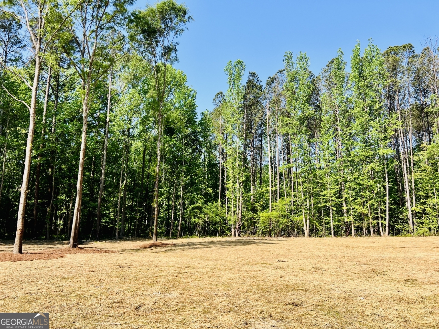3341 E Highway 16 Sharpsburg GA 30277