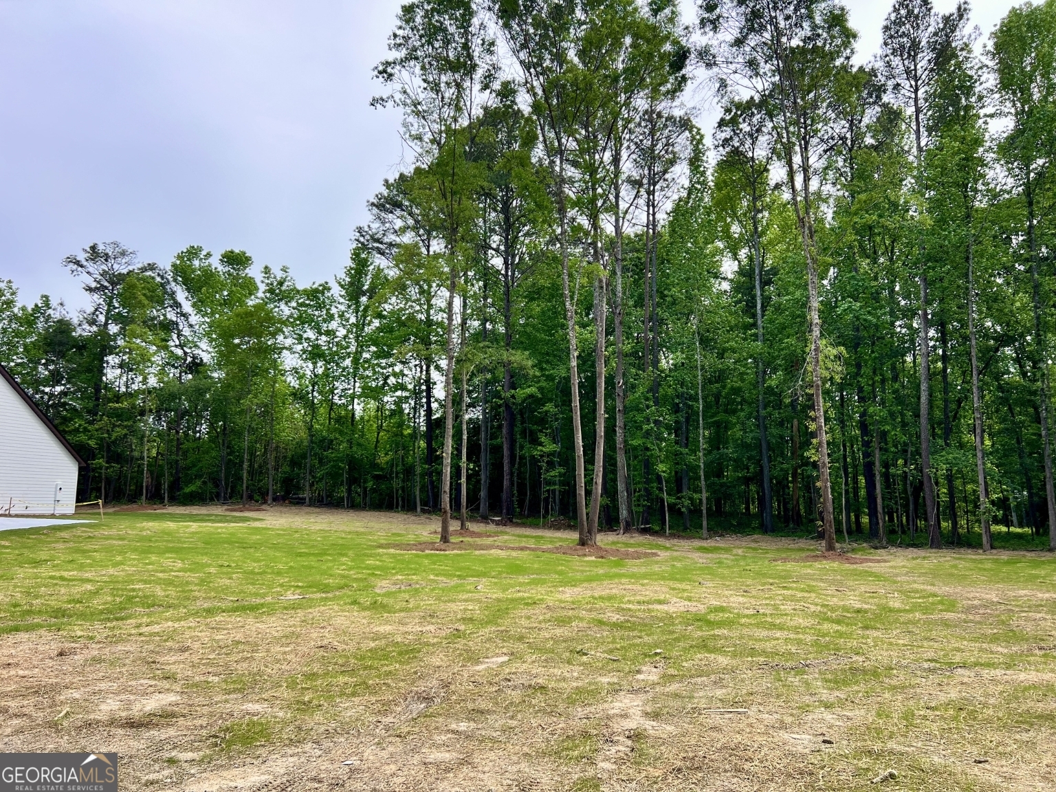 3341 E Highway 16 Sharpsburg GA 30277