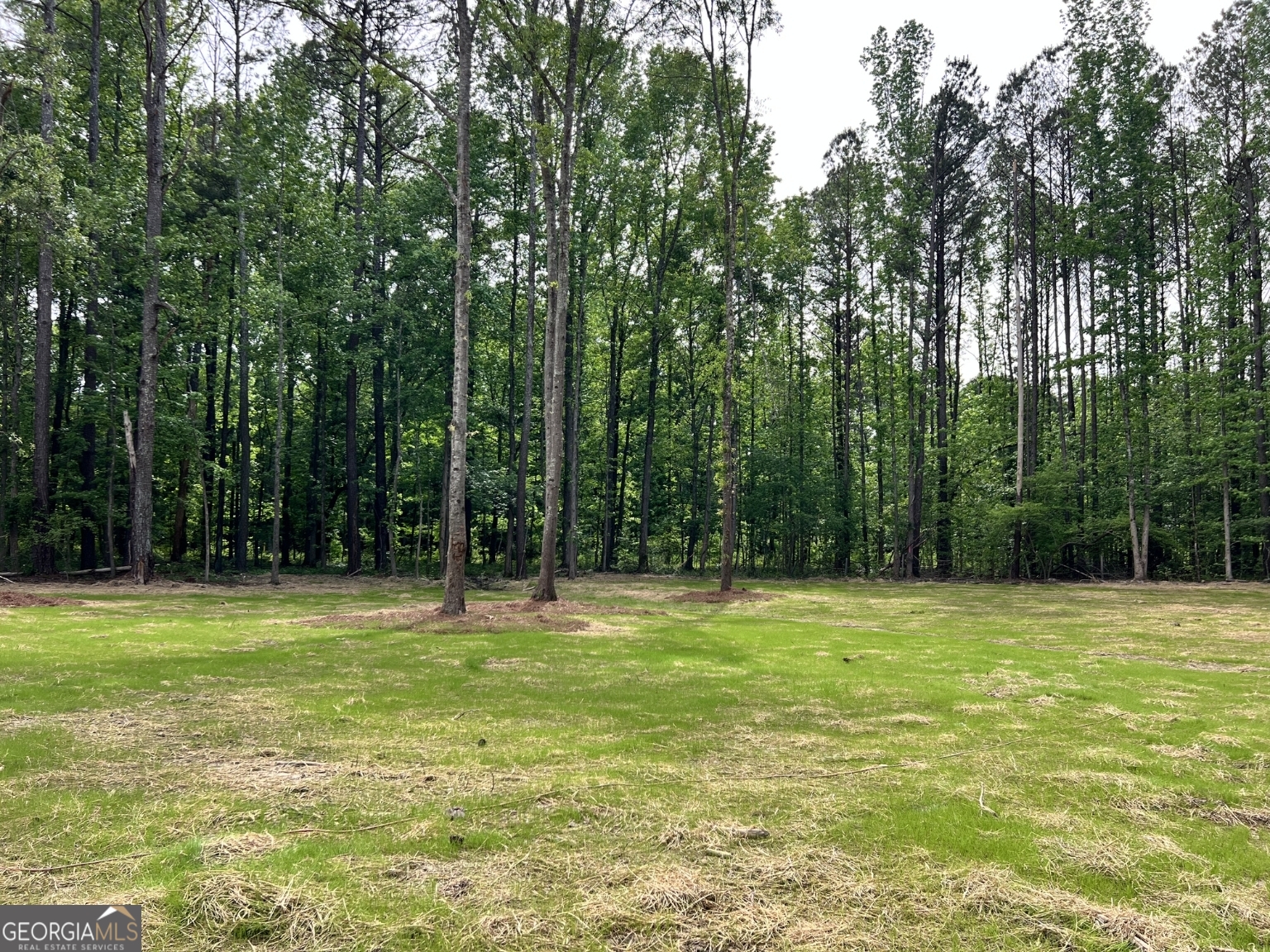 3341 E Highway 16 Sharpsburg GA 30277