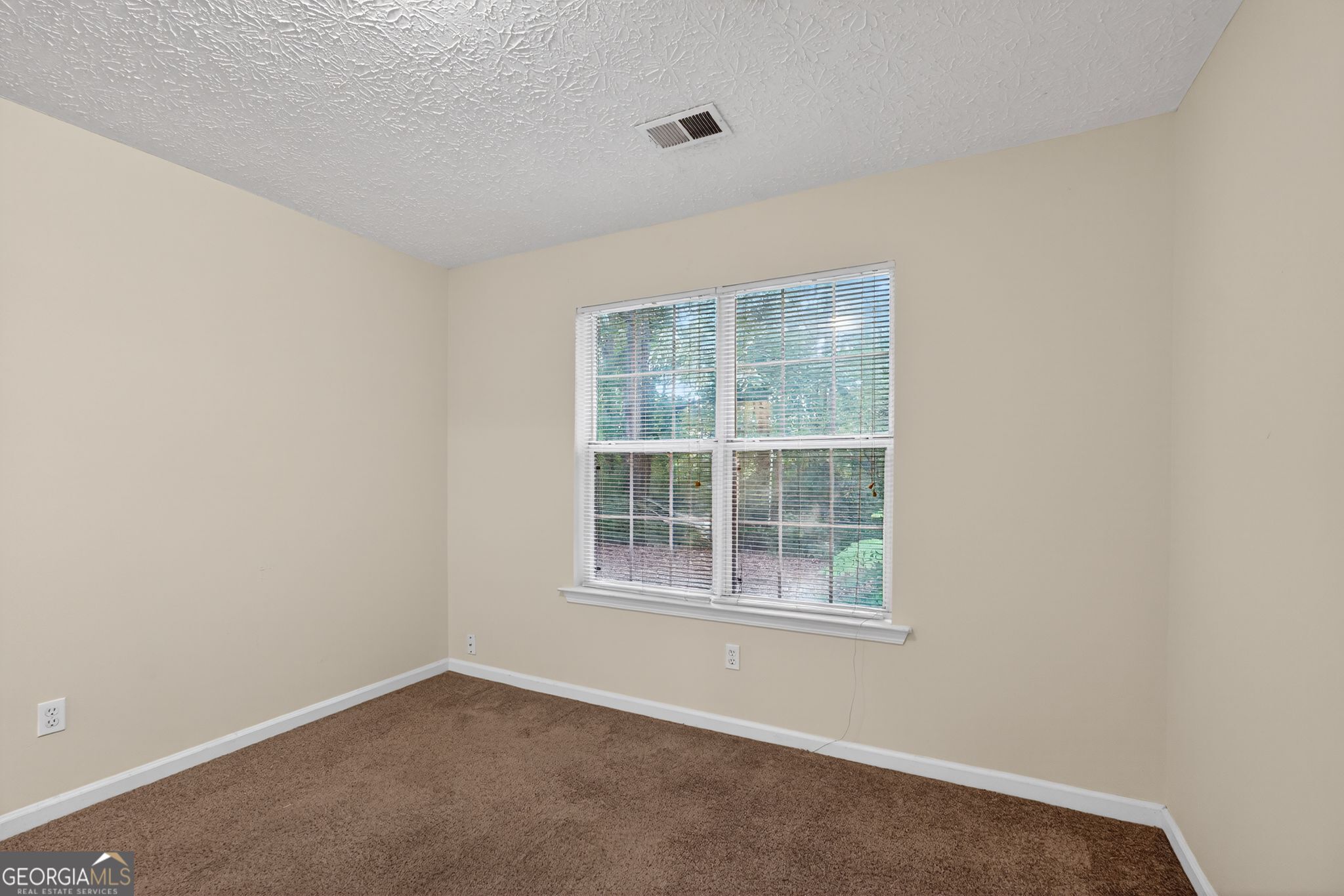 221 Fairview Point Ellenwood GA 30294