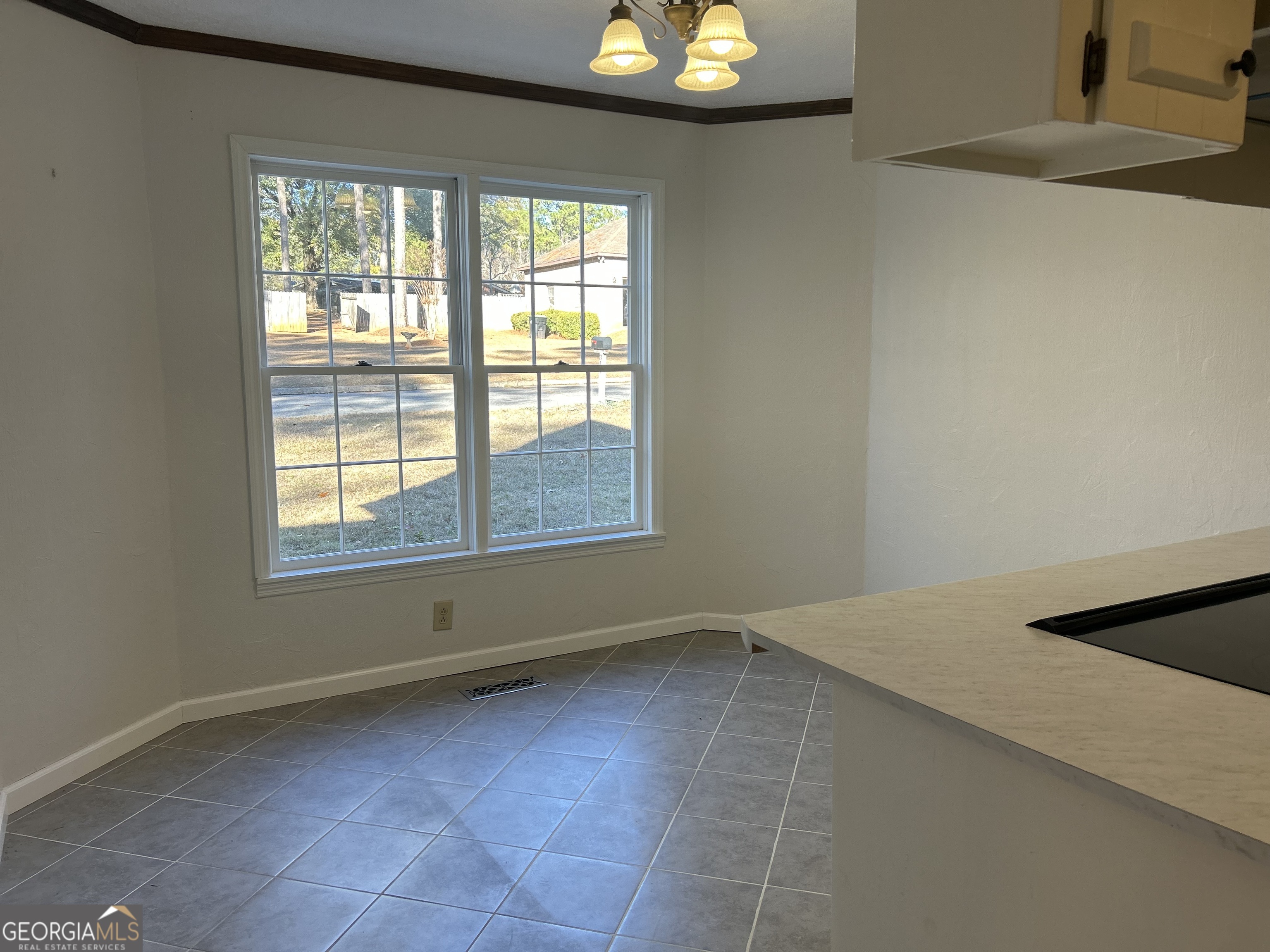 311 Overlook Drive Montezuma GA 31063