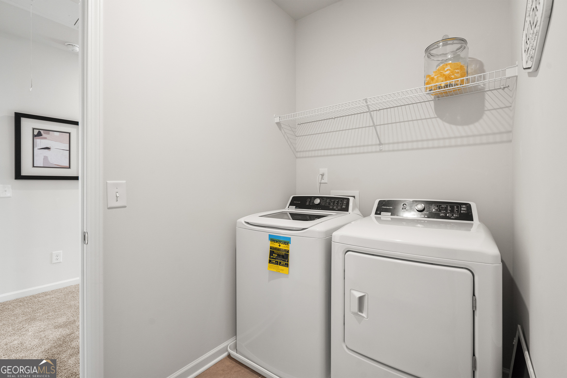 1423 Trellis Court Hampton GA 30228
