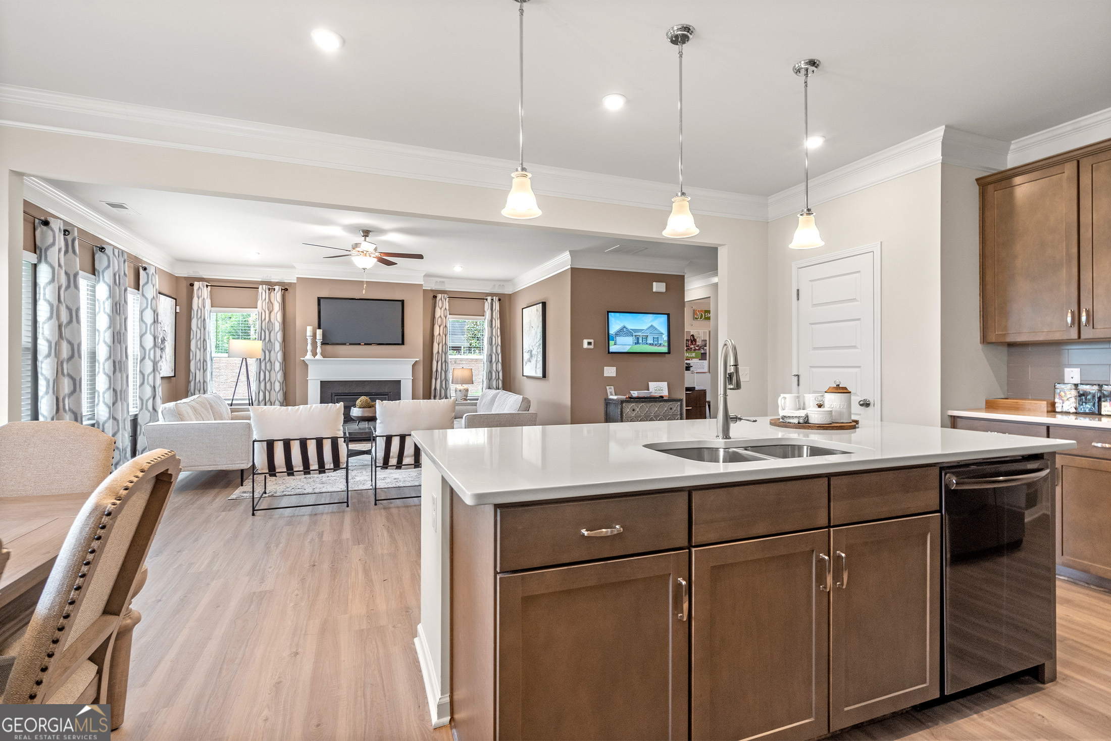 1423 Trellis Court Hampton GA 30228