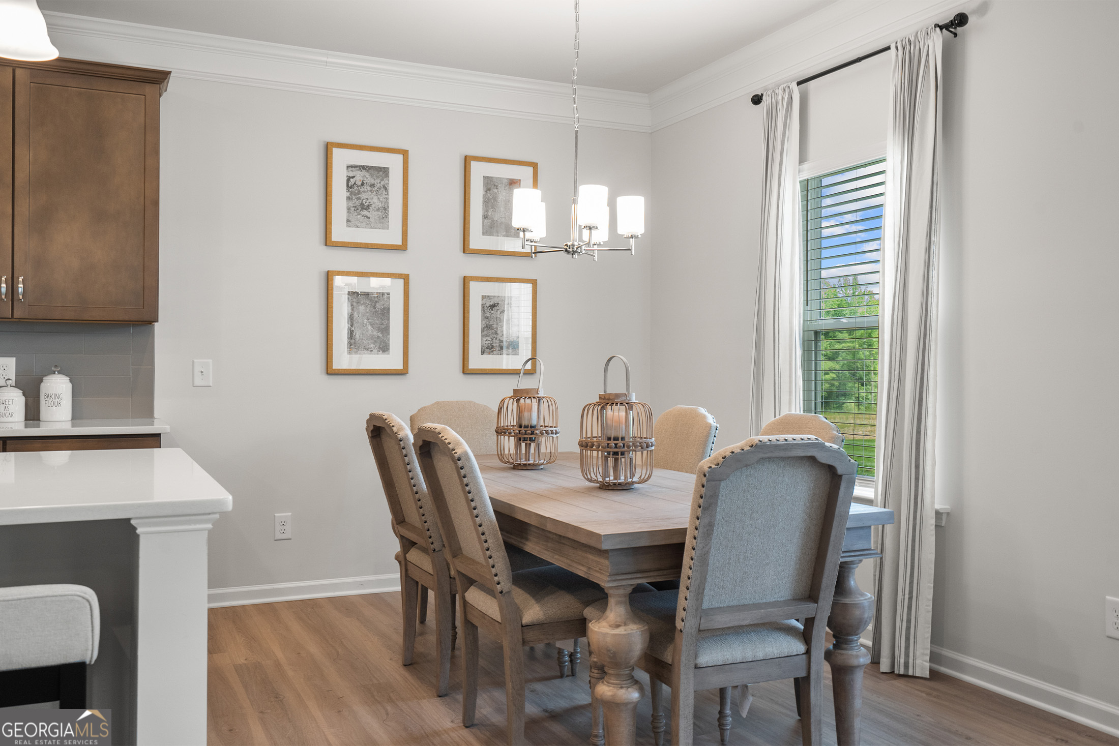 1423 Trellis Court Hampton GA 30228