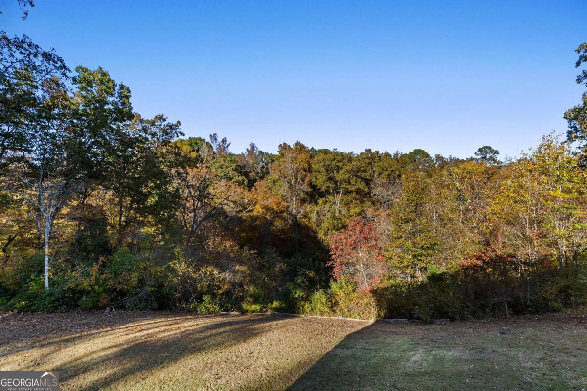 2202 Escalade Court Conyers GA 30094