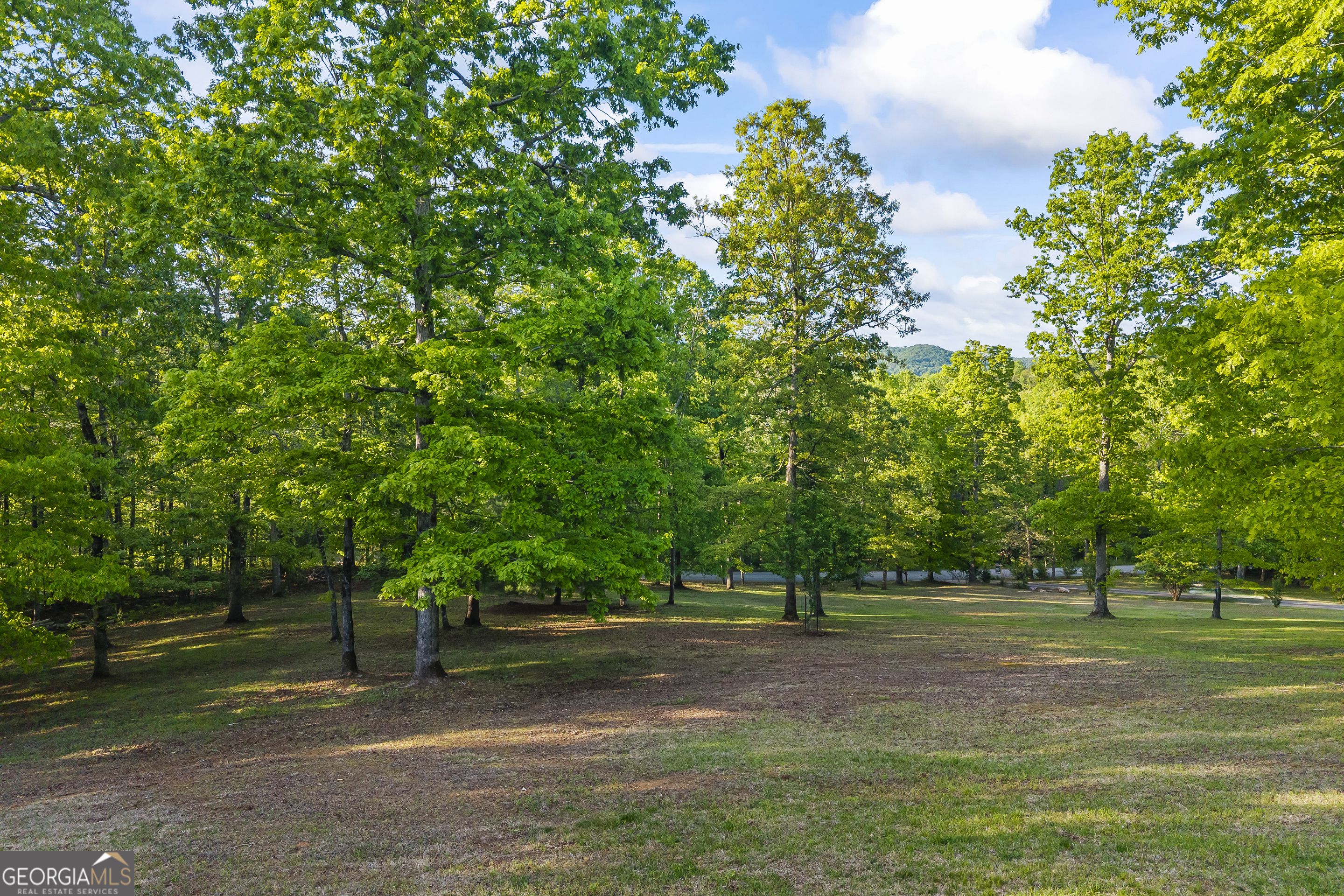 920 Yeoman Lake Road Clarkesville GA 30523