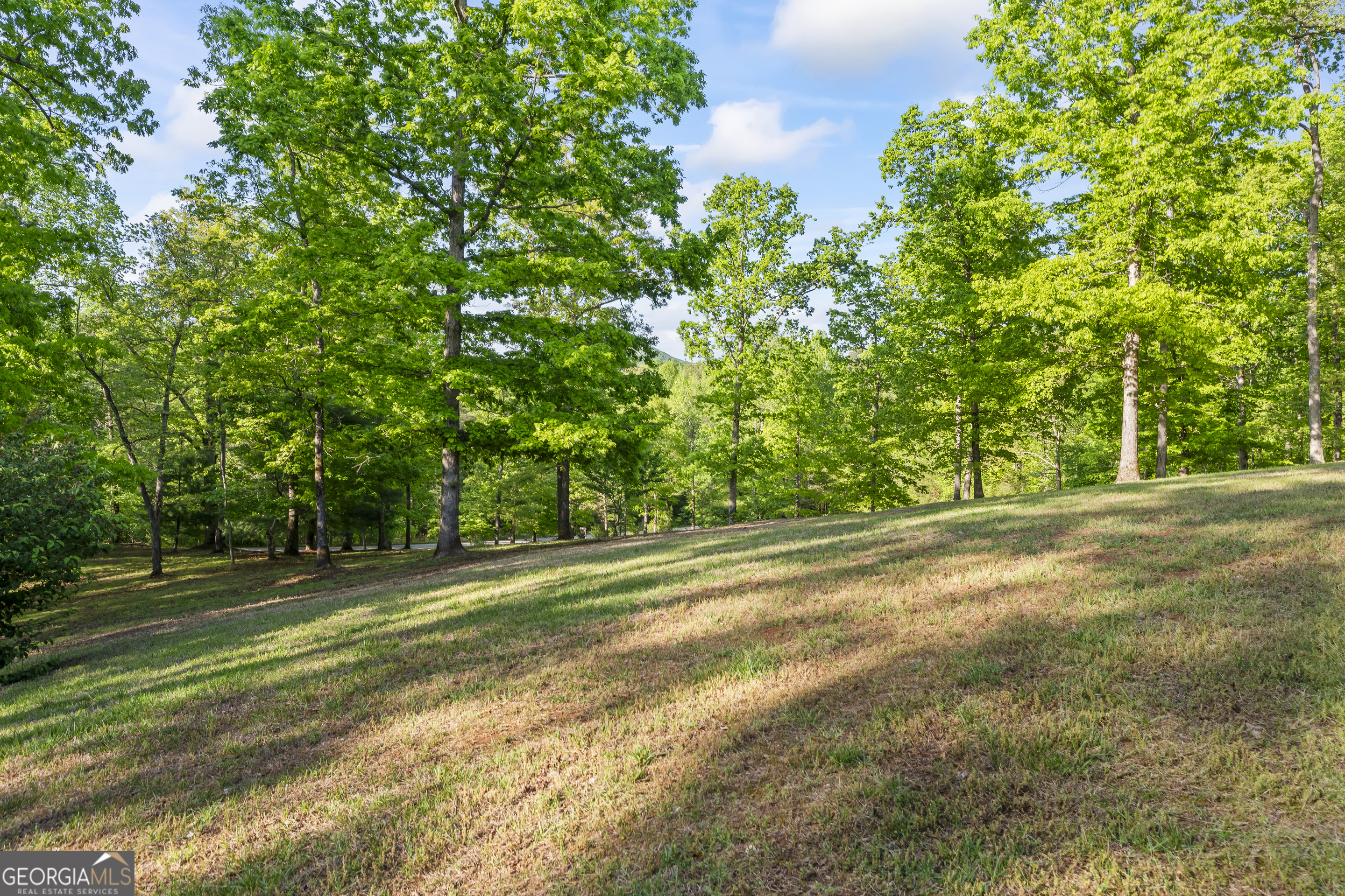 920 Yeoman Lake Road Clarkesville GA 30523