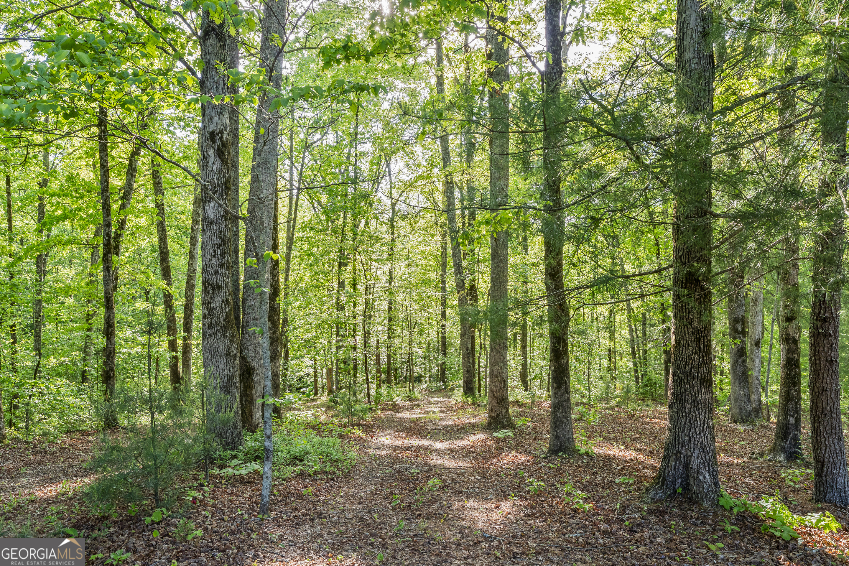 920 Yeoman Lake Road Clarkesville GA 30523