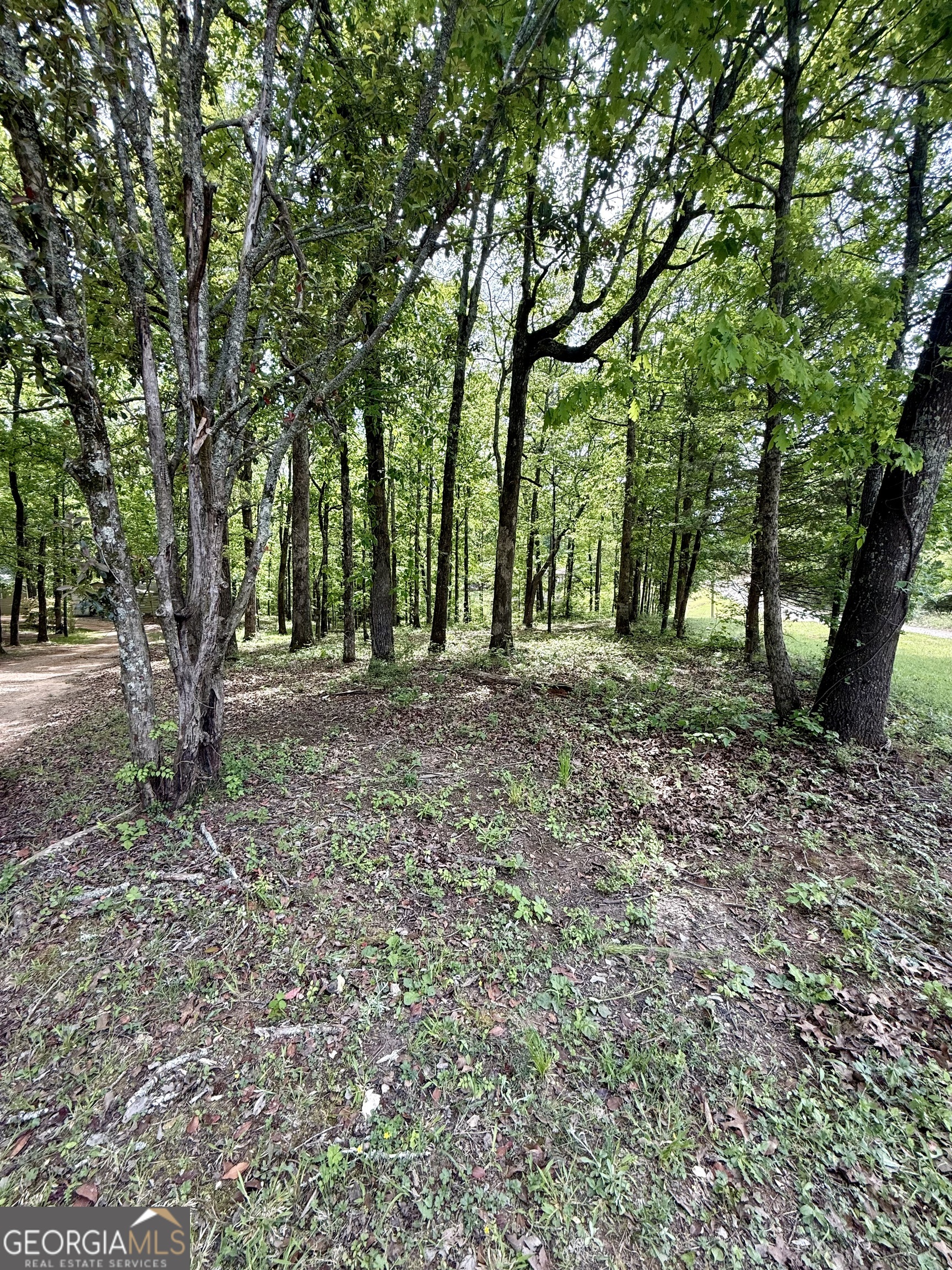 27 Hawk Trail Newborn GA 30056