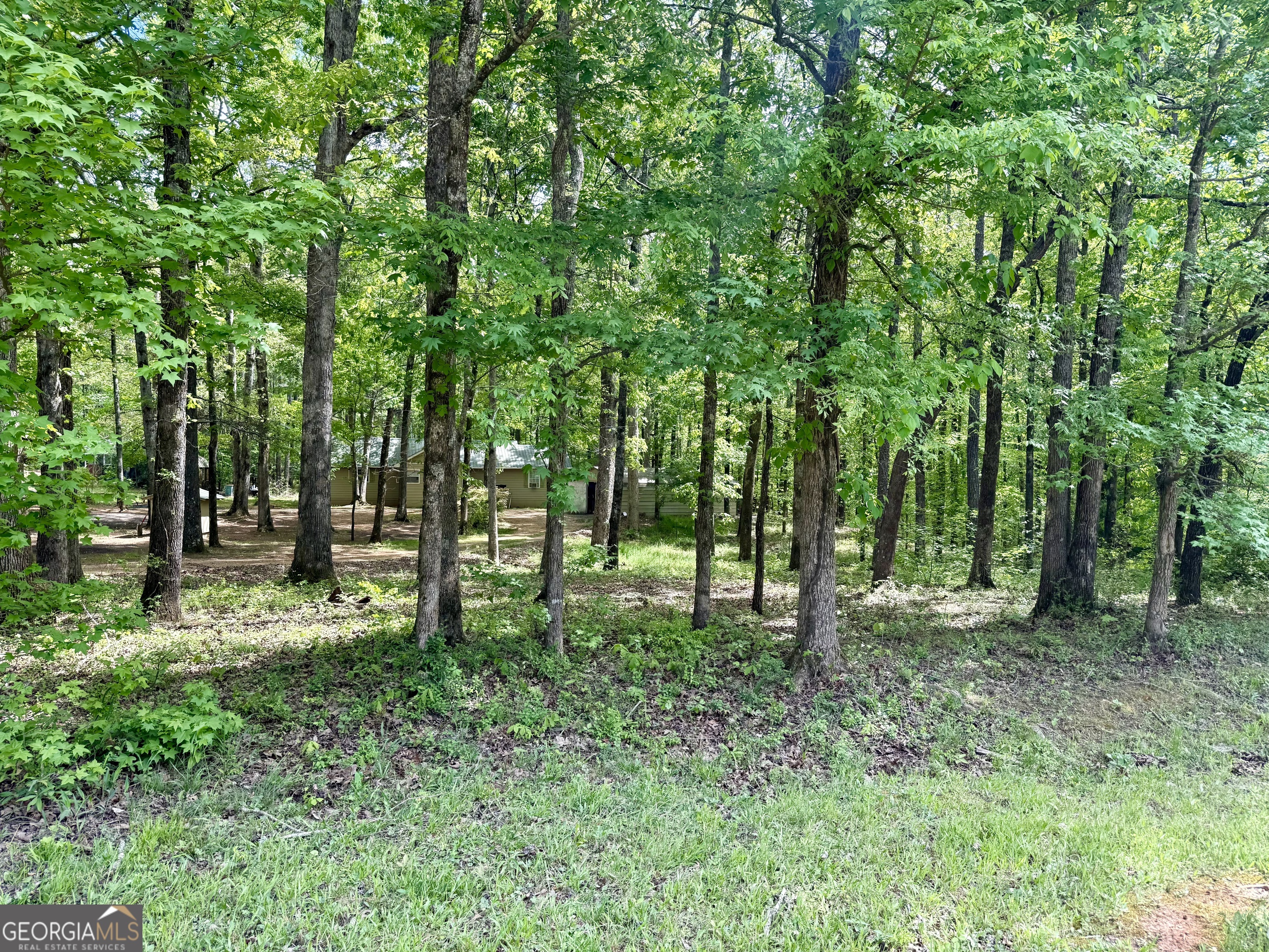 27 Hawk Trail Newborn GA 30056