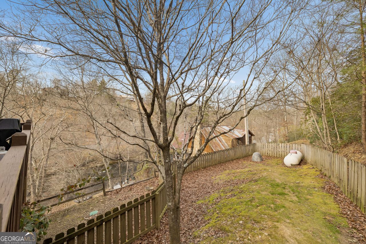 101 Moonshine Mountain Road Mineral Bluff GA 30559