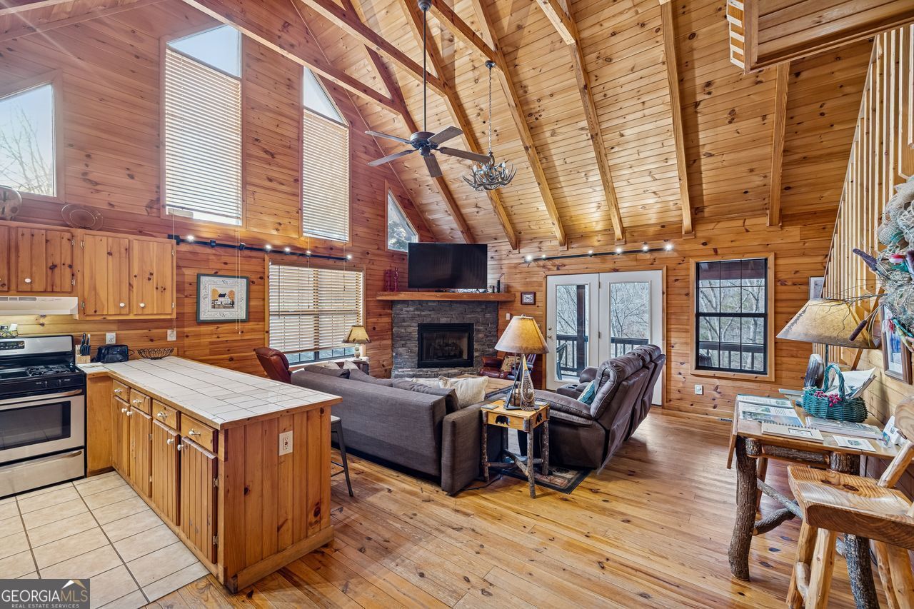 101 Moonshine Mountain Road Mineral Bluff GA 30559