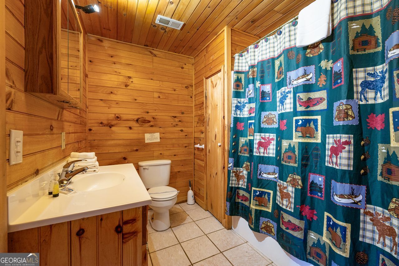 101 Moonshine Mountain Road Mineral Bluff GA 30559