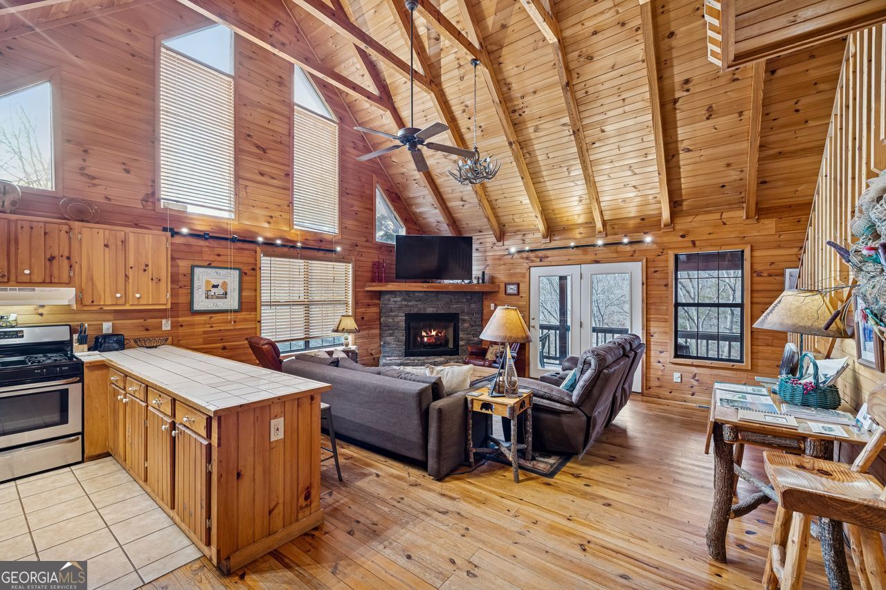 101 Moonshine Mountain Road Mineral Bluff GA 30559