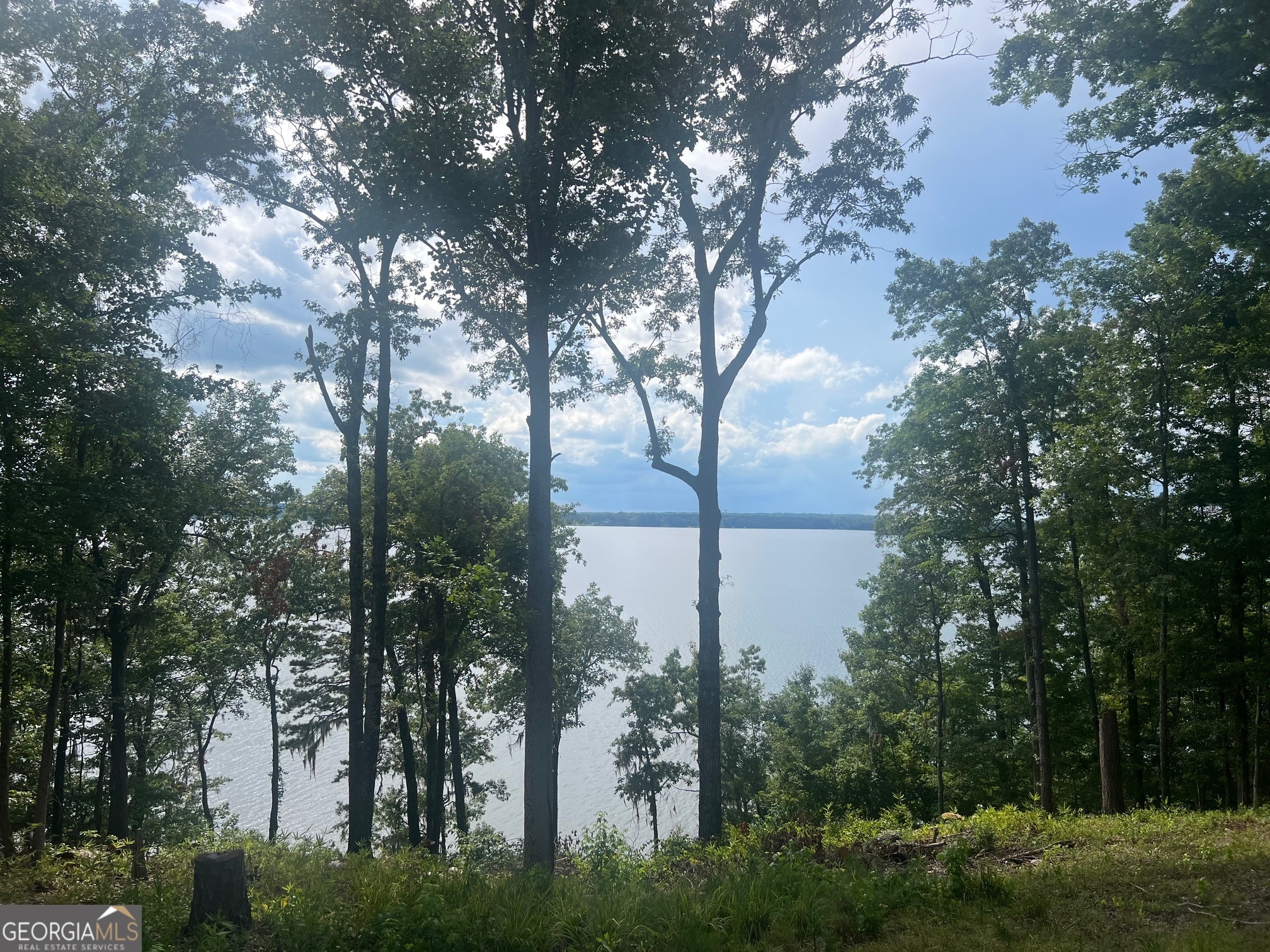23 Deer Trail Georgetown GA 39854