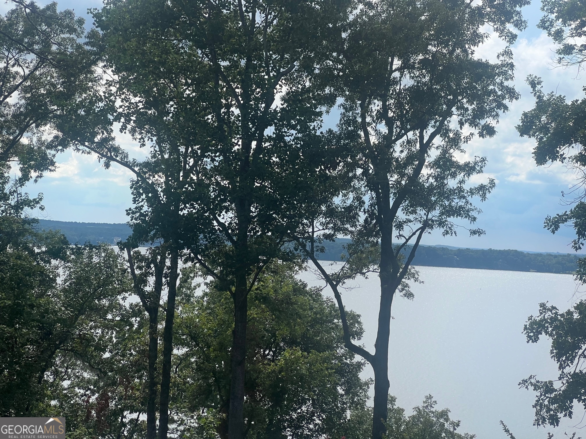 23 Deer Trail Georgetown GA 39854