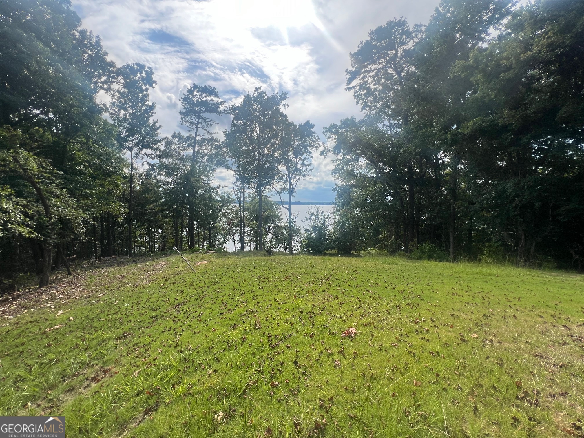 23 Deer Trail Georgetown GA 39854