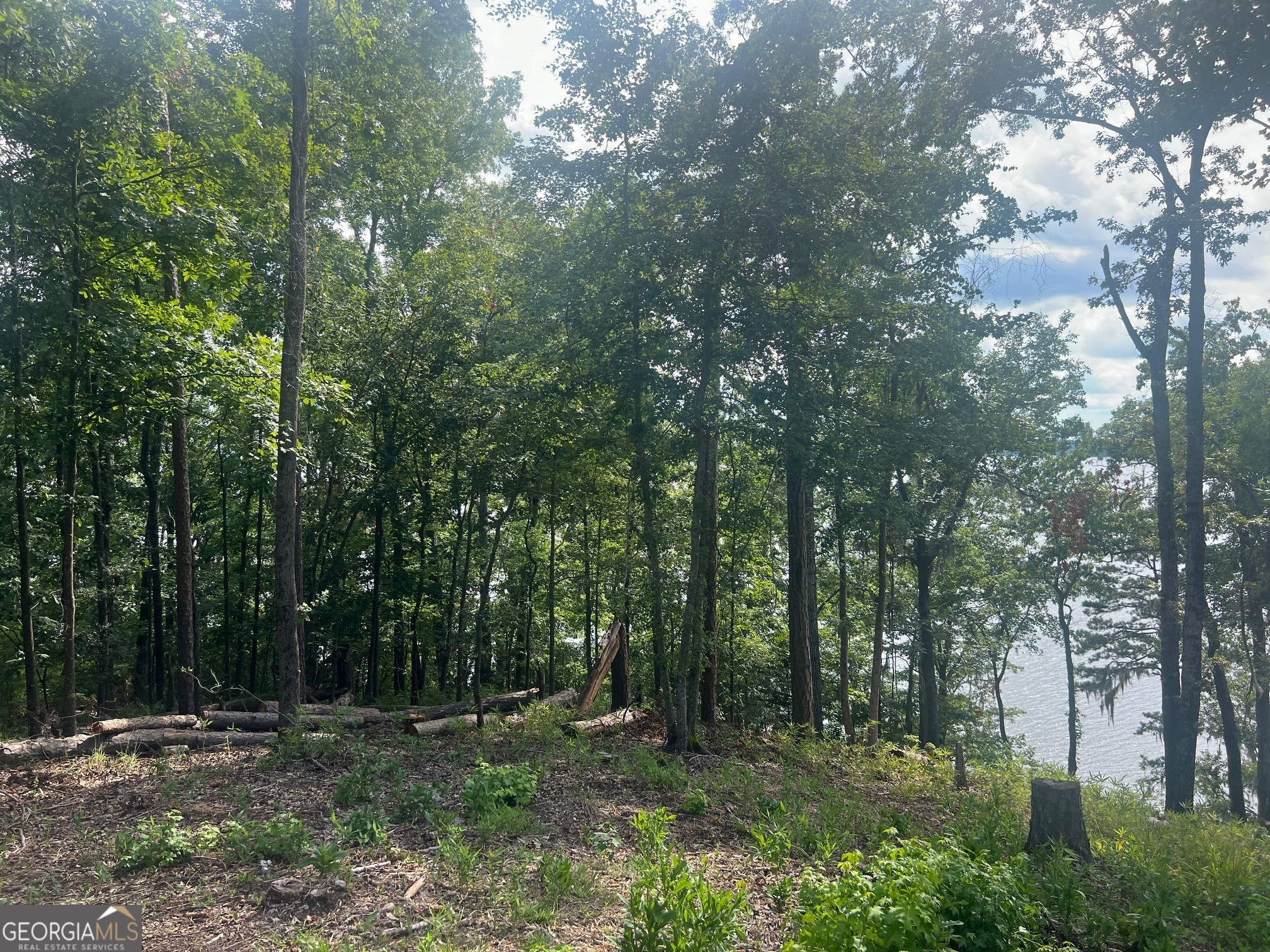 23 Deer Trail Georgetown GA 39854