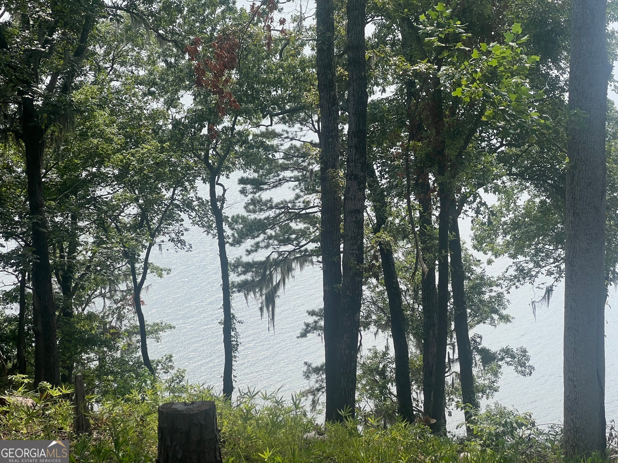 23 Deer Trail Georgetown GA 39854