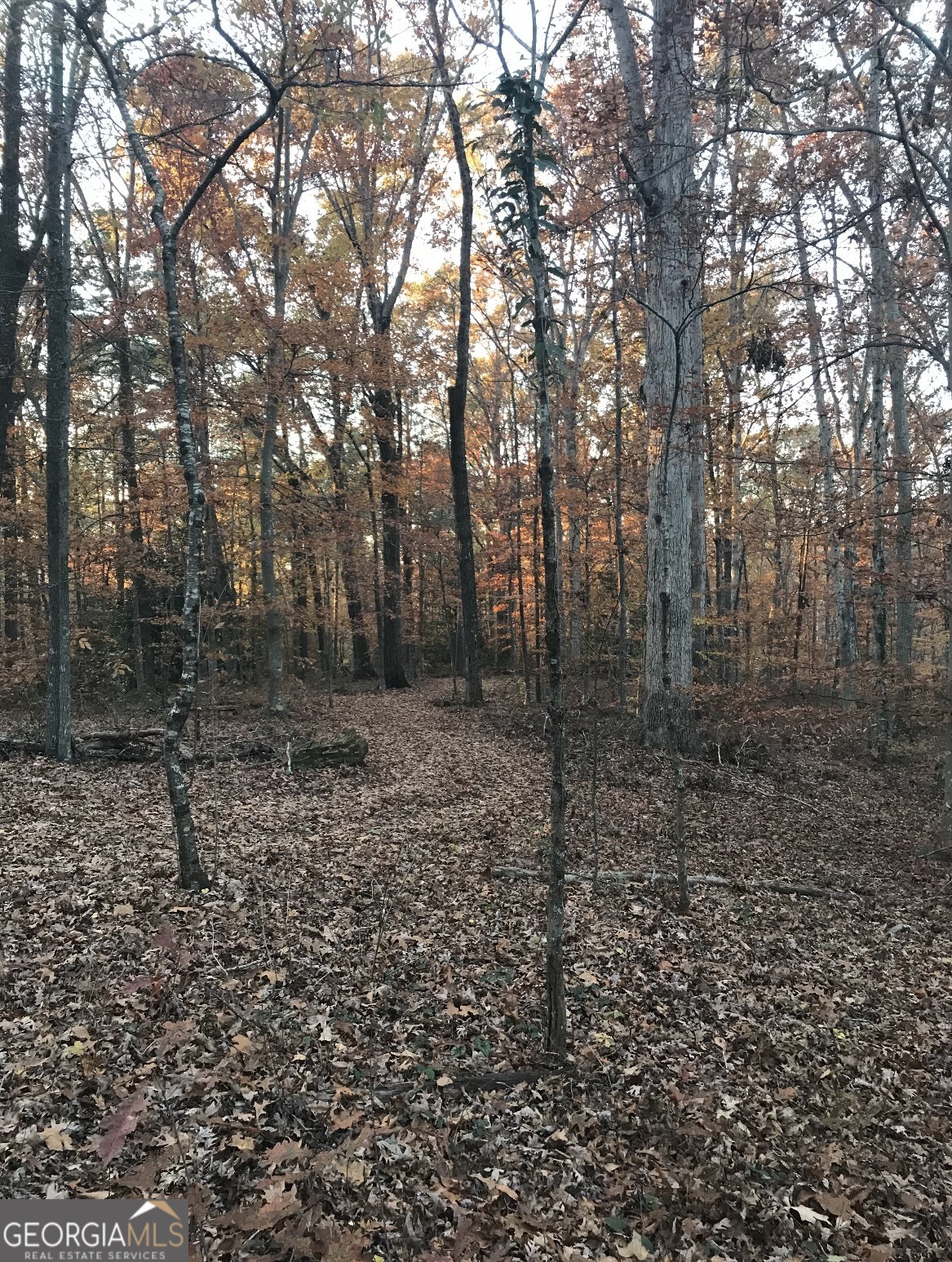 550 S Rays Road Stone Mountain GA 30083