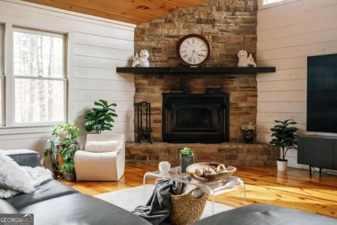 31 Highland Hammock Drive Blue Ridge GA 30513