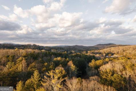 31 Highland Hammock Drive Blue Ridge GA 30513