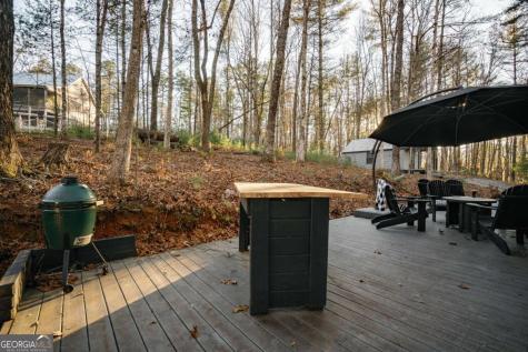 31 Highland Hammock Drive Blue Ridge GA 30513
