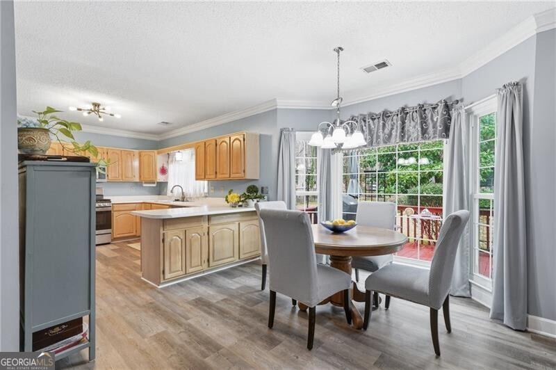 974 Laurel Springs Lane SW Marietta GA 30064