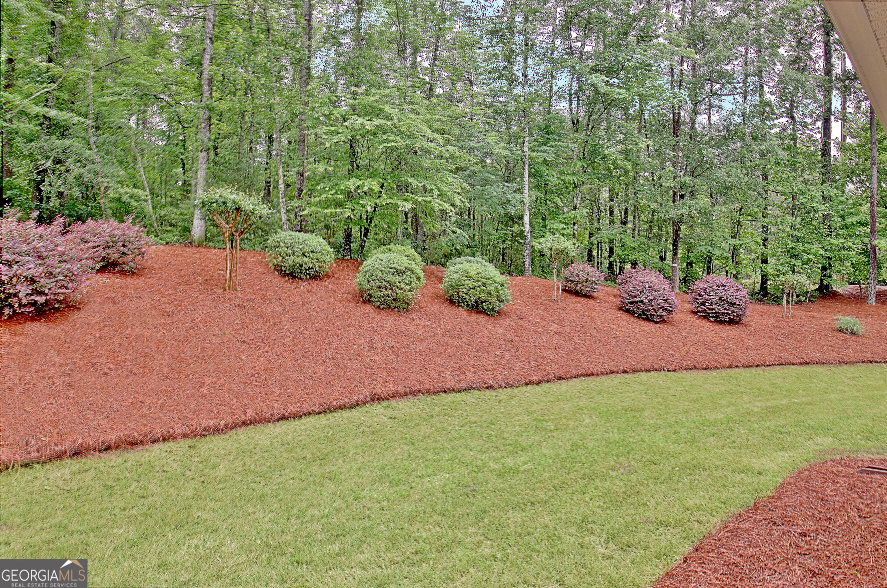 20 Woodchase Drive Senoia GA 30276