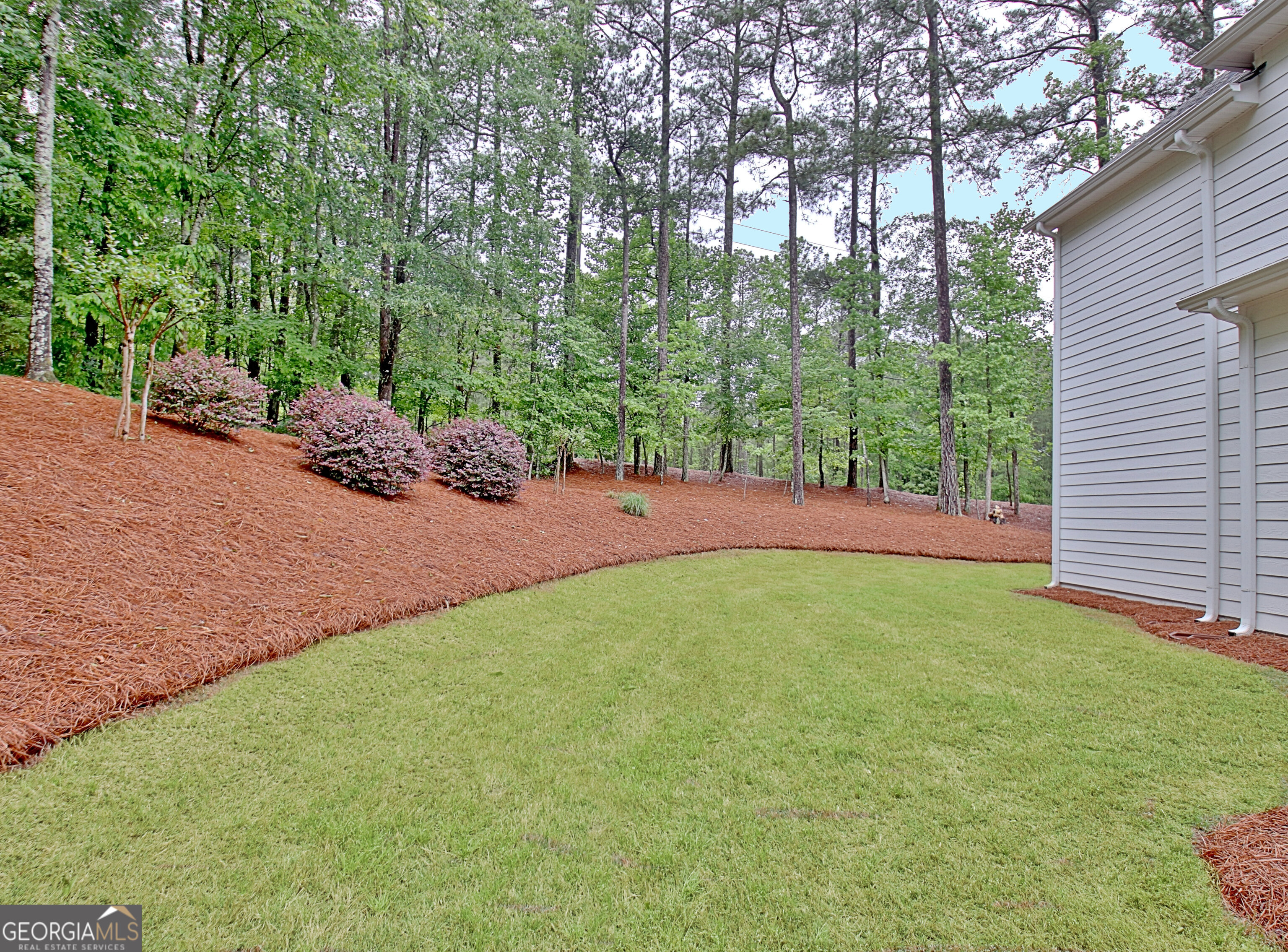 20 Woodchase Drive Senoia GA 30276